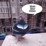 pigeon slavic pigeon | Slavic Lives Matter | image tagged in pigeon slavic pigeon,slavic | made w/ Imgflip meme maker