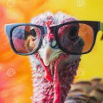Turkey with glasses