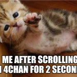 Don't go on there or any of the chans children. It's a *wild world* | ME AFTER SCROLLING IN 4CHAN FOR 2 SECONDS | image tagged in help me kitten | made w/ Imgflip meme maker