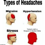 Good luck with that lmao | Trying to catch a Sturgeon in Stardew Valley | image tagged in types of headaches meme,stardew valley | made w/ Imgflip meme maker