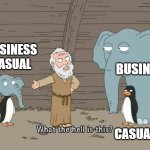 What the hell is this? | BUSINESS CASUAL; BUSINESS; CASUAL | image tagged in what the hell is this | made w/ Imgflip meme maker