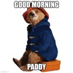 Picky Paddington Bear | GOOD MORNING; PADDY | image tagged in picky paddington bear | made w/ Imgflip meme maker