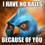 Balls | I HAVE NO BALLS; BECAUSE OF YOU | image tagged in realistic blue angry bird | made w/ Imgflip meme maker