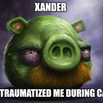 Realistic angry birds | XANDER; HAS TRAUMATIZED ME DURING CAMP | image tagged in realistic angry birds | made w/ Imgflip meme maker