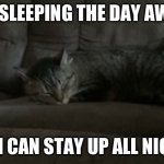 Staying up at night | ME SLEEPING THE DAY AWAY; SO I CAN STAY UP ALL NIGHT | image tagged in sleeping at day | made w/ Imgflip meme maker