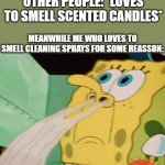 Don't Be Mean You Probably Like How Cleaning Sprays Smell To | OTHER PEOPLE: *LOVES TO SMELL SCENTED CANDLES*; MEANWHILE ME WHO LOVES TO SMELL CLEANING SPRAYS FOR SOME REASSON: | image tagged in spongebob smelling | made w/ Imgflip meme maker