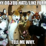 question about furrys | WHY DO YOU HATE/LIKE FURRYS; TELL ME WHY. | image tagged in furries,furry,anti-furry,question | made w/ Imgflip meme maker