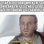 Visible Confusion | 5 YEAR OLDS TODAY WHEN THEY GO TO OHIO AND THEY SEE THAT IT'S JUST A NORMAL STATE AND NOT SEE SKIBIDI TOILETS: | image tagged in visible confusion,memes,gen alpha,funny,drake hotline bling | made w/ Imgflip meme maker