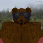 muitetul chill bear