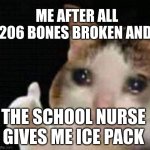 real | ME AFTER ALL 206 BONES BROKEN AND:; THE SCHOOL NURSE GIVES ME ICE PACK | image tagged in approved crying cat | made w/ Imgflip meme maker