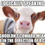 Cute cow | LOGICALLY SPEAKING; SHOULDN'T COWARD MEAN MOVE IN THE DIRECTION OF A COW? | image tagged in cute cow | made w/ Imgflip meme maker