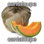 LOBOTOMEHHH | cantaloupe; cantaloupe | image tagged in yahiamice cantaloupe | made w/ Imgflip meme maker