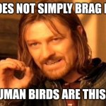 One Does Not Simply | ONE DOES NOT SIMPLY BRAG FRODO; BUT HUMAN BIRDS ARE THIS THICK | image tagged in memes,one does not simply | made w/ Imgflip meme maker