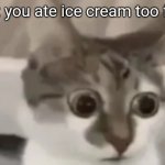 bombastic side eye cat | Pov: you ate ice cream too fast | image tagged in bombastic side eye cat | made w/ Imgflip meme maker