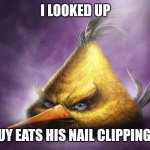 Realistic yellow angry bird | I LOOKED UP; GUY EATS HIS NAIL CLIPPINGS | image tagged in realistic yellow angry bird | made w/ Imgflip meme maker