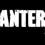 pantera logo