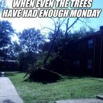 I've had enough | WHEN EVEN THE TREES HAVE HAD ENOUGH MONDAY | image tagged in uprooted | made w/ Imgflip meme maker