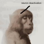 Neuron deactivation