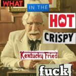 WHAT IN THE HOT CRISPY KENTUCKY FRIED FUCK