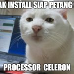 Funny cat face! | NAK INSTALL SIAP PETANG NI; PROCESSOR  CELERON | image tagged in funny cat face | made w/ Imgflip meme maker