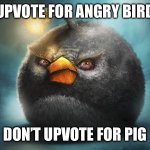 angry birds bomb | UPVOTE FOR ANGRY BIRD; DON’T UPVOTE FOR PIG | image tagged in angry birds bomb | made w/ Imgflip meme maker