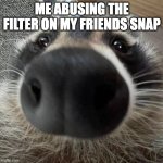 spicwy raccwoon | ME ABUSING THE FILTER ON MY FRIENDS SNAP | image tagged in spicwy raccwoon | made w/ Imgflip meme maker