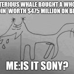 A MYSTERIOUS WHALE BOUGHT A WHOPPING 7735 BITCOIN  WORTH $475 MILLION ON BINANCE. ? | A MYSTERIOUS WHALE BOUGHT A WHOPPING 7735 BITCOIN  WORTH $475 MILLION ON BINANCE. 👀; ME:IS IT SONY? | image tagged in tien | made w/ Imgflip meme maker