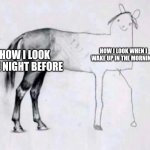 Horse Drawing | HOW I LOOK WHEN I WAKE UP IN THE MORNING; HOW I LOOK THE NIGHT BEFORE | image tagged in horse drawing | made w/ Imgflip meme maker