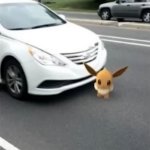 eevee getting run over