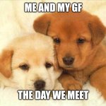 Dogs Cuddling | ME AND MY GF; THE DAY WE MEET | image tagged in dogs cuddling | made w/ Imgflip meme maker