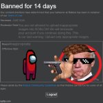 Roblox Ban | Banned for 14 days; Just now; You are not allowed to upload inappropriate images into ROBLOX! We will terminate your account if you continue doing this. This is our last warning. Upload only appropriate images. Inappropriate; Logout | image tagged in roblox ban | made w/ Imgflip meme maker