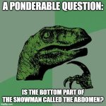 Philosoraptor | A PONDERABLE QUESTION:; IS THE BOTTOM PART OF THE SNOWMAN CALLED THE ABDOMEN? | image tagged in memes,philosoraptor | made w/ Imgflip meme maker