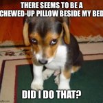 Did I do that? | THERE SEEMS TO BE A CHEWED-UP PILLOW BESIDE MY BED; DID I DO THAT? | image tagged in cute dog | made w/ Imgflip meme maker