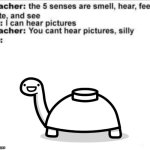 That Turtle seems like he wanna say something. | image tagged in you can't hear pictures,funny,asdfmovie | made w/ Imgflip meme maker