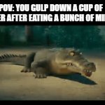 Real | POV: YOU GULP DOWN A CUP OF WATER AFTER EATING A BUNCH OF MINTS: | image tagged in gifs,funny memes,mints,water | made w/ Imgflip video-to-gif maker