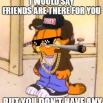oof | I WOULD SAY FRIENDS ARE THERE FOR YOU; BUT YOU DON'T HAVE ANY | image tagged in garfield got the drip,garfield,mlg,roast,rekt | made w/ Imgflip meme maker