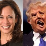 Kamala Harris sane, Donald Trump crazy on acid