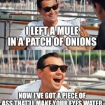 Leonardo Dicaprio Wolf Of Wall Street Meme | I LEFT A MULE IN A PATCH OF ONIONS; NOW I'VE GOT A PIECE OF ASS THAT'LL MAKE YOUR EYES WATER | image tagged in memes,leonardo dicaprio wolf of wall street | made w/ Imgflip meme maker
