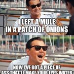 Leonardo Dicaprio Wolf Of Wall Street | I LEFT A MULE IN A PATCH OF ONIONS; NOW I'VE GOT A PIECE OF ASS THAT'LL MAKE YOUR EYES WATER | image tagged in memes,leonardo dicaprio wolf of wall street | made w/ Imgflip meme maker