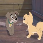 Lady And The Tramp 2 meme