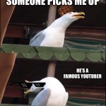 Inhaling Seagull | JUST A RANDOM TOY IN THE TOY SHOP; SOMEONE PICKS ME UP; HE’S A FAMOUS YOUTUBER; HE HAS A HYDRAULIC PRESS CHANNEL | image tagged in memes,inhaling seagull | made w/ Imgflip meme maker