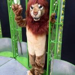 A man in a gay looking lion costume