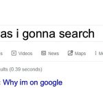 Did you mean? | What was i gonna search; Why im on google | image tagged in did you mean | made w/ Imgflip meme maker