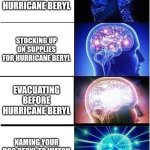 MEXICO... | PREPARING FOR HURRICANE BERYL; STOCKING UP ON SUPPLIES FOR HURRICANE BERYL; EVACUATING BEFORE HURRICANE BERYL; NAMING YOUR DOG BERYL TO WATCH YOUR FRIENDS PANIC | image tagged in memes,expanding brain | made w/ Imgflip meme maker