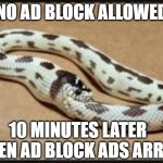 Sneaky sneak Ad Block peak | NO AD BLOCK ALLOWED; 10 MINUTES LATER 
WHEN AD BLOCK ADS ARRIVE | image tagged in snake eating tail,funny memes,youtube | made w/ Imgflip meme maker