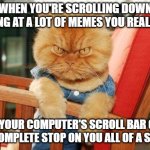 This is total bullshit | WHEN YOU'RE SCROLLING DOWN LOOKING AT A LOT OF MEMES YOU REALLY LIKE; AND YOUR COMPUTER'S SCROLL BAR GOES TO A COMPLETE STOP ON YOU ALL OF A SUDDEN | image tagged in mad cat,memes,relatable,scumbag,computers/electronics,lag | made w/ Imgflip meme maker