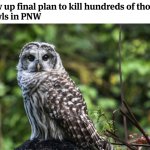 Barred Owl Culling