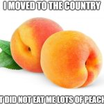 Peachy | I MOVED TO THE COUNTRY; BUT DID NOT EAT ME LOTS OF PEACHES | image tagged in peaches,moved to the country,eat me lots of peaches | made w/ Imgflip meme maker