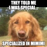 WE ARE FAMILY ... MIMIMI | THEY TOLD ME I WAS SPECIAL... SPECIALIZED IN MIMIMI | image tagged in fake laugh dog | made w/ Imgflip meme maker