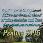 Psalms 31:15